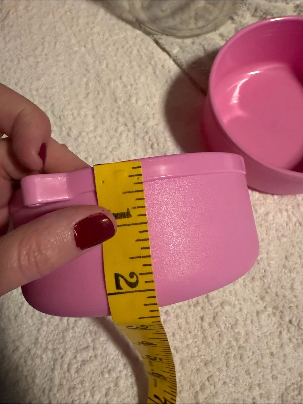 Portable Pink Snack/Storage Container with Carabiner